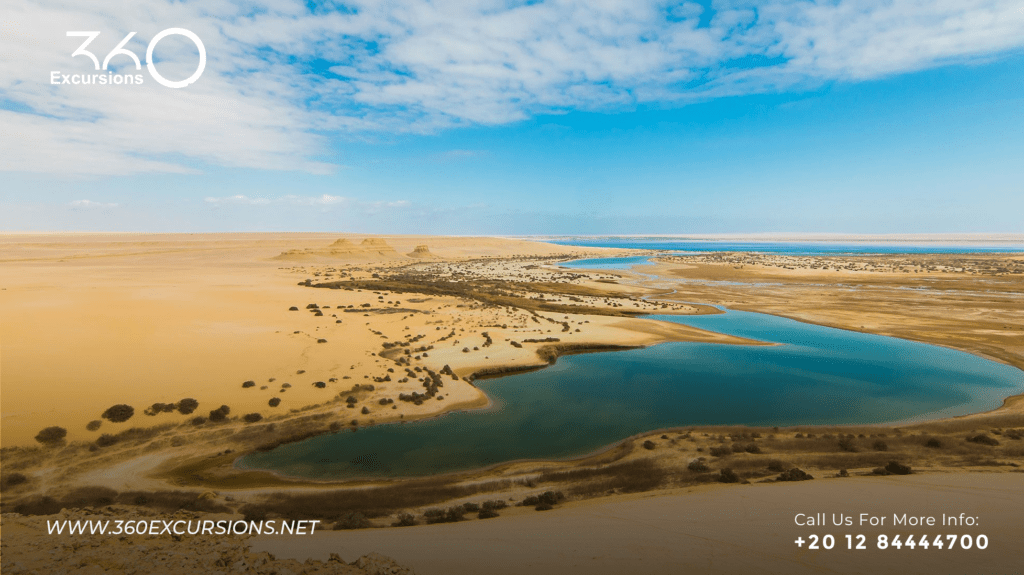 Fayoum Oasis