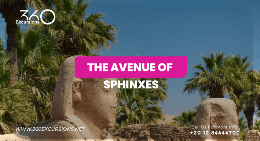 The Avenue of Sphinxes