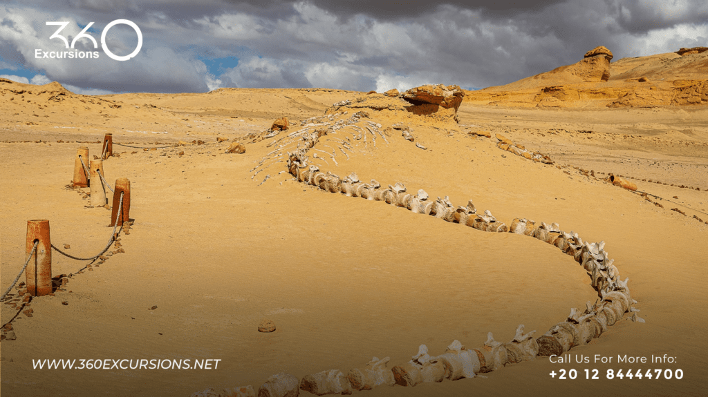 Wadi Al Hitan