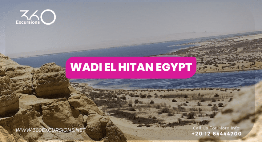 Wadi El Hitan Egypt