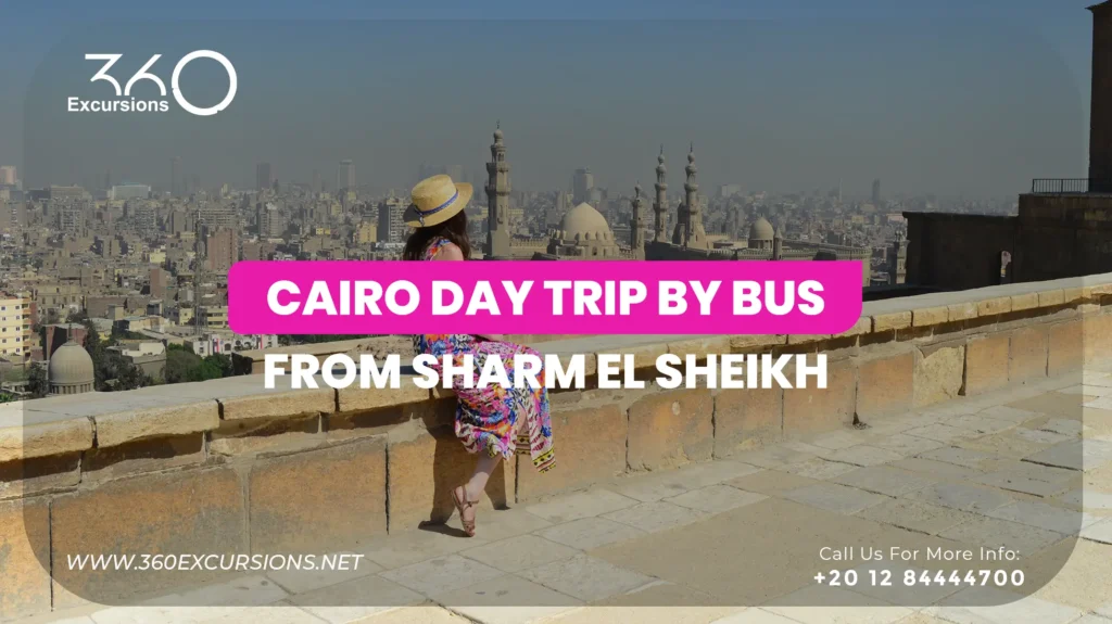 Cairo Day Trip By Bus From Sharm El Sheikh