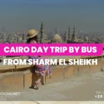 Cairo Day Trip By Bus From Sharm El Sheikh