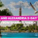 Cairo And Alexandria Tour From Sharm El Sheikh