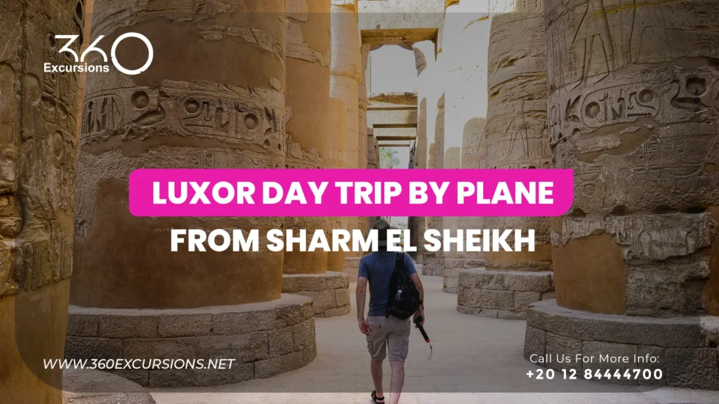 luxor day trip by plane from sharm