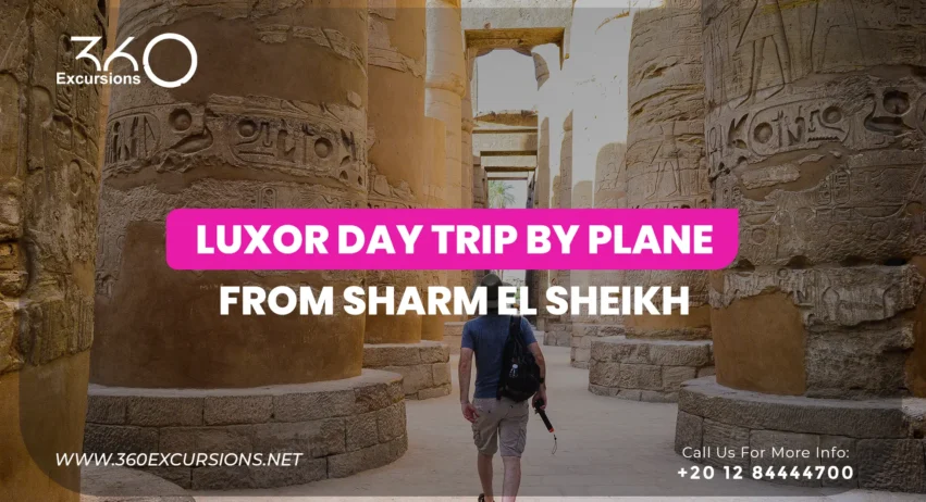 luxor day trip by plane from sharm