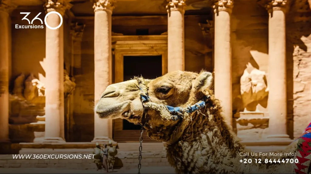 Petra Tour from Sharm