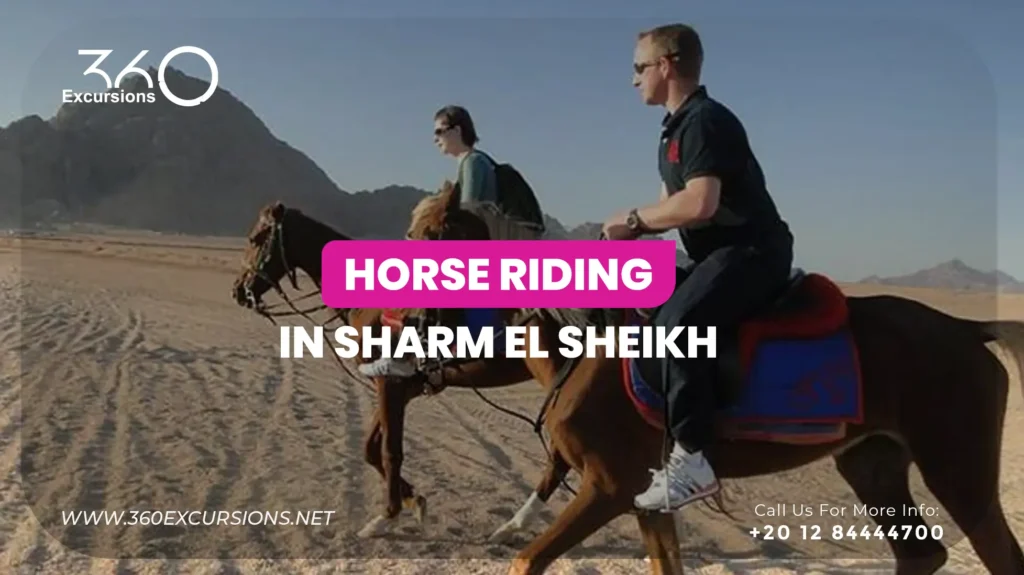 Horse Riding Sharm El Sheikh