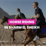 Horse Riding Sharm El Sheikh