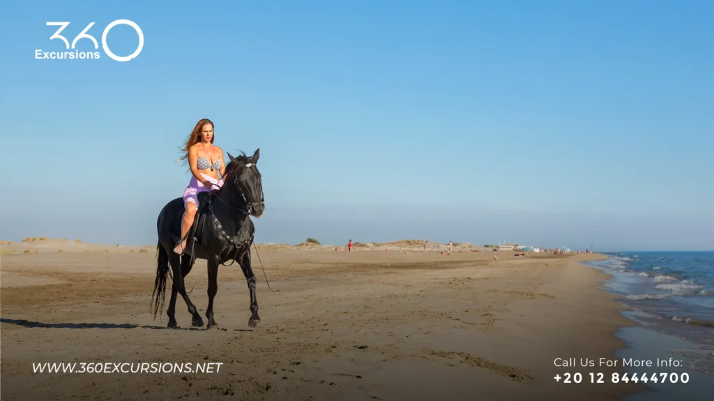 Horse Riding Sharm El Sheikh