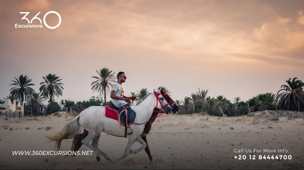 Horse Riding Sharm El Sheikh