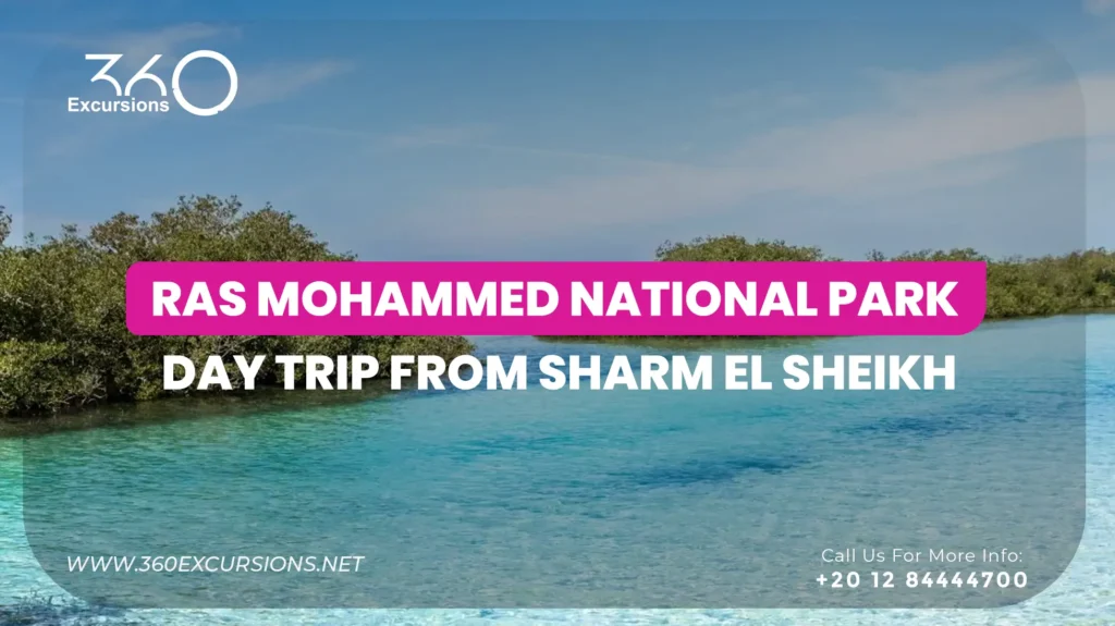 Ras Mohammed Reserve Sharm El Sheikh
