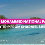 Ras Mohammed Reserve Sharm El Sheikh