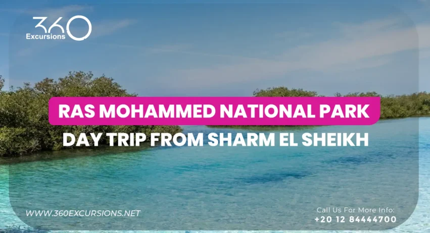 Ras Mohammed Reserve Sharm El Sheikh
