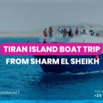 Tiran Island Boat Trip Sharm El Sheikh